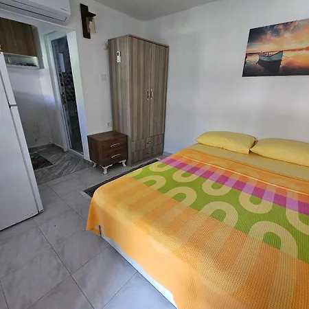 Проживание в семье Melanur *