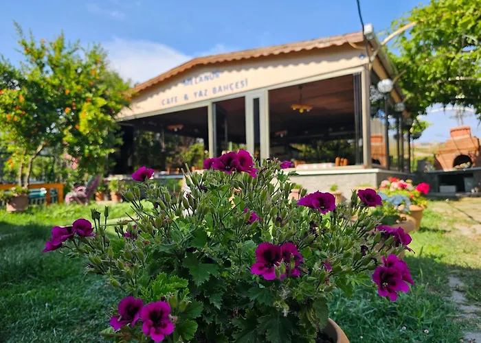 Проживание в семье Melanur *