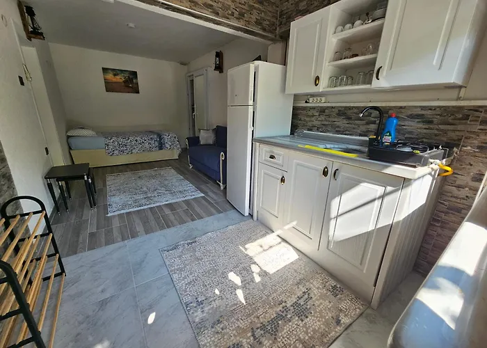 Проживание в семье Melanur