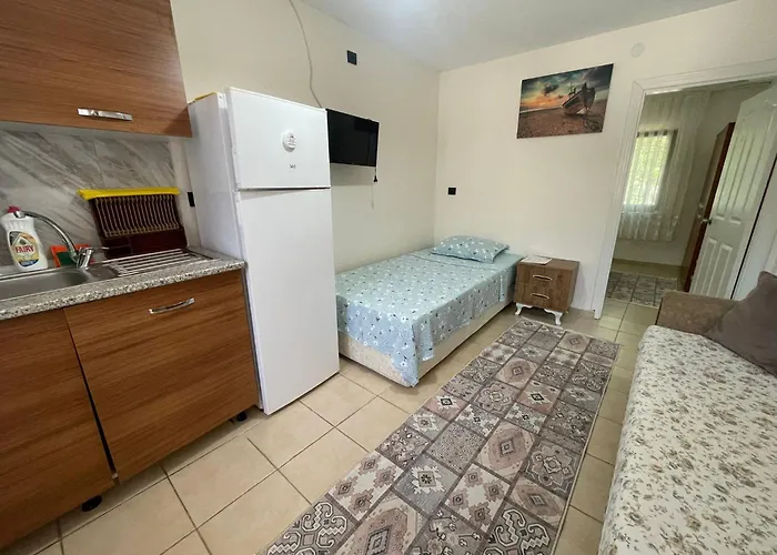 Проживание в семье Melanur Имврос