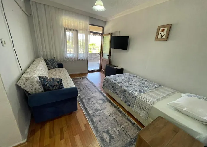 Проживание в семье Melanur